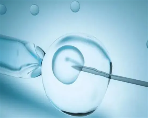 在广州供卵被骗说一下，广州供卵骗局有些什么套路？_代怀价格表