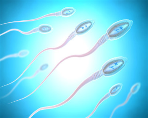 广州代生孩子服务,深圳试管婴儿医院可以使用社保吗？费用多少？_试管移植后