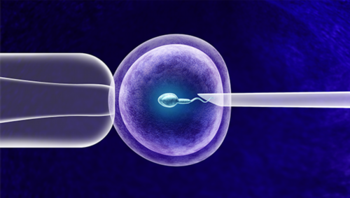 广州那个医院试管代怀有合法机构吗好