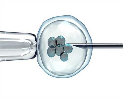 广州供卵试管要求,广州有多少家供卵机构_倩女幽魂手游137鬼装