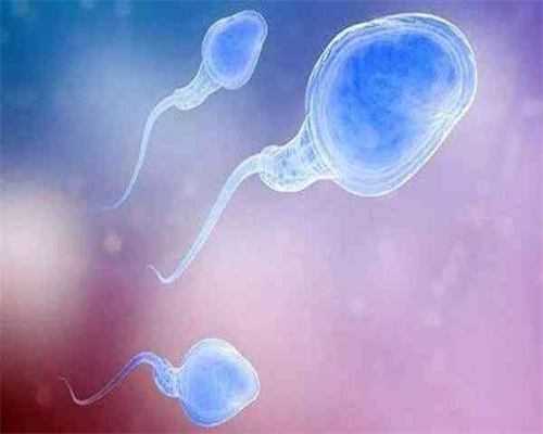 广州代生一个孩子花费 广州不孕不育医院排名 ‘22周b超看男女’