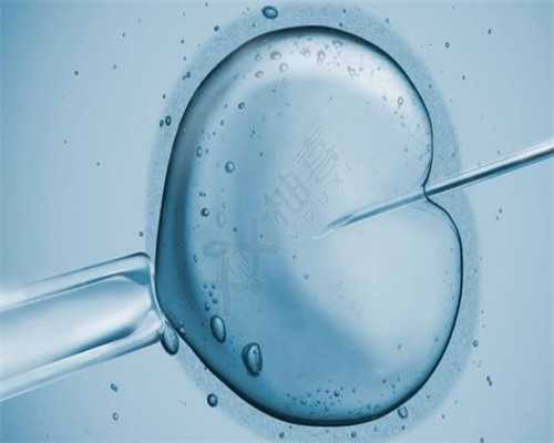 广州紫朵朵供卵价格,广州供卵试管婴儿医院_放生可以增加智慧吗