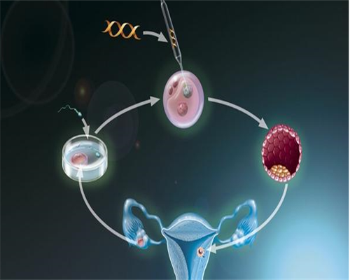 35岁女性排卵48小时内做人工授精生男孩的几率大吗