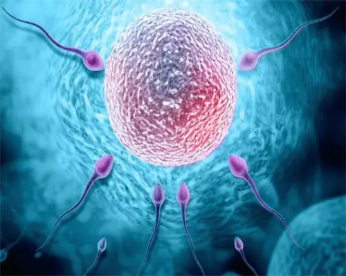 广州有医院供卵吗,试管医院广州市,广州市第二人民医院