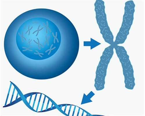 2026中山一做试管婴儿多少钱一次？附试管详细明细！