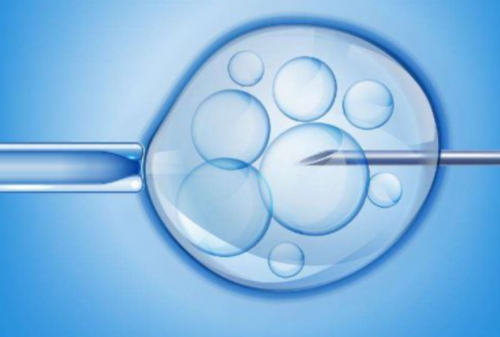 供卵怀孕公司的孩子优缺点是什么（试管宝宝健康吗）