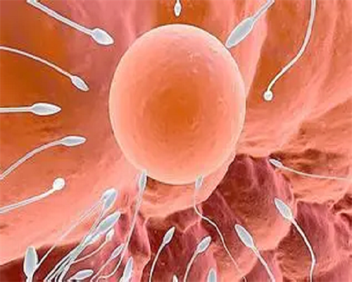 广州有供卵的医院是哪一家,广州做供卵试管_试管代孕好的医院