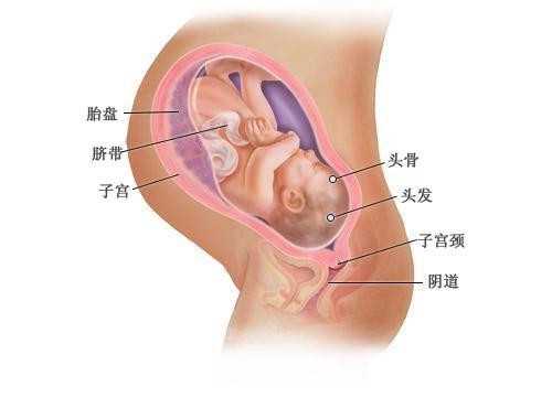准妈妈们被各种检查弄得晕头转向，孕妇产检时