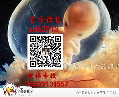 广州代孕官网_怎么培养孩子的智力