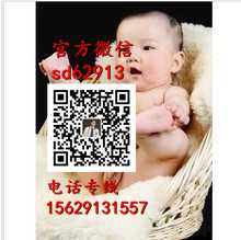 广州代孕生殖_北京代孕产子大概多少钱_北京代孕中介