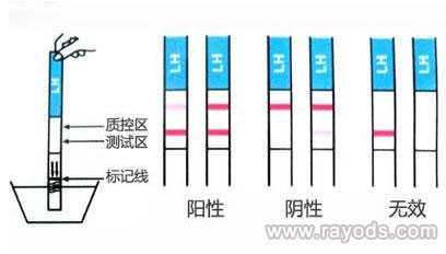 哪里有代孕服务-广州供卵流程需要多久_验孕棒是一次性的吗?如何提高验孕棒的